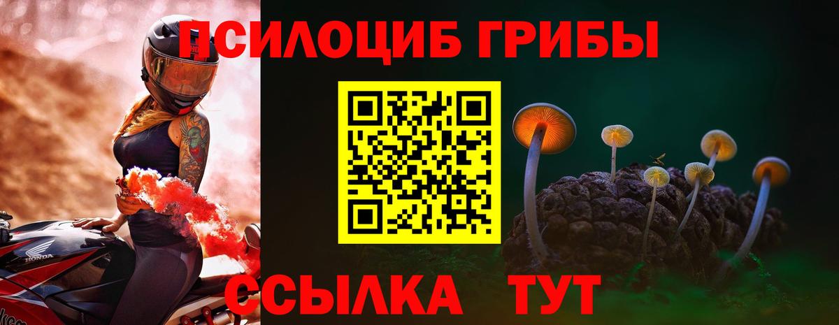 Псилоцибиновые грибы GOLDEN TEACHER Пыть-Ях